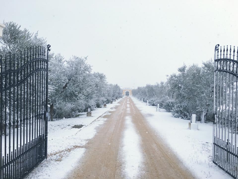 Tenuta Orsanese Marina di Ginosa Zewnętrze zdjęcie